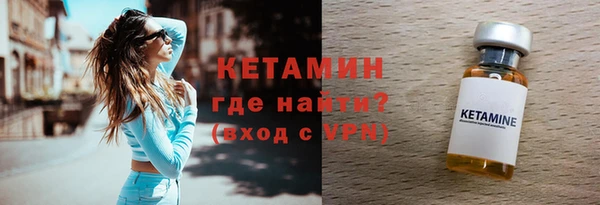 шишки Абаза
