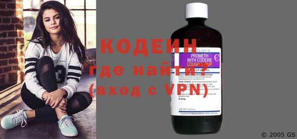 шишки Абаза