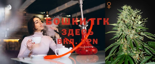 дживик Абинск