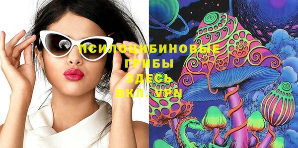 дживик Абинск